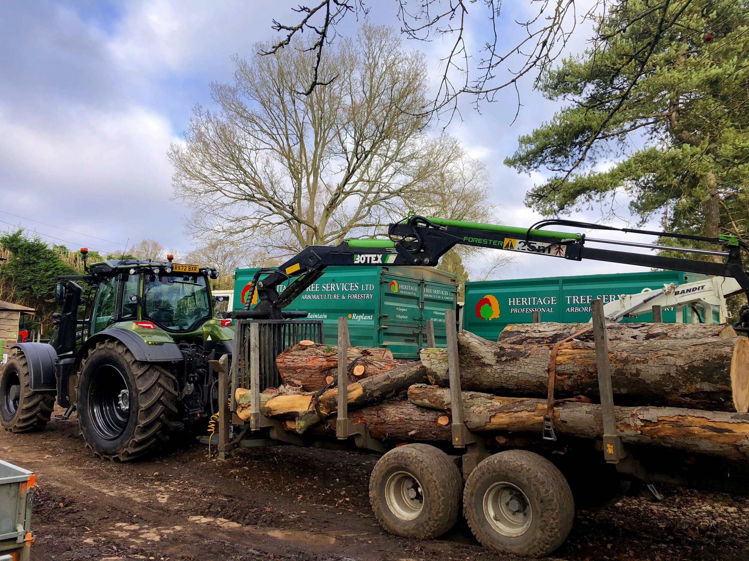 Plantation Grown Timbers ミラー Plantation Grown Timbers ミラー